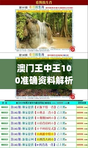 澳门王中王100准确资料解析与细致讨论_KEP8.62.36艺术版