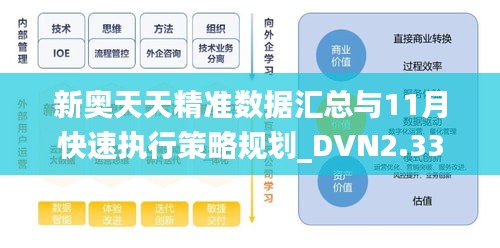 新奥天天精准数据汇总与11月快速执行策略规划_DVN2.33.37科技版