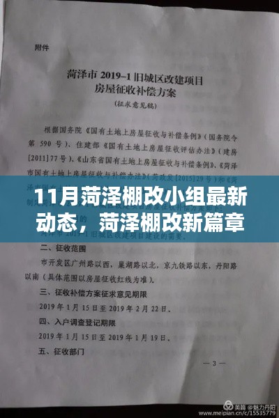 菏泽棚改最新动态深度解析，十一月新篇章启动