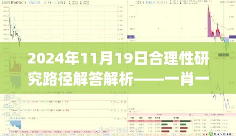 2024年11月19日合理性研究路径解答解析——一肖一码一中一特_GBA2.65.52轻奢版