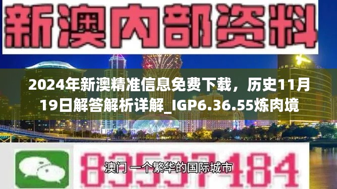 2024年新澳精准信息免费下载，历史11月19日解答解析详解_IGP6.36.55炼肉境