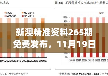 新澳精准资料265期免费发布，11月19日质量管理解答落实_MIC3.45.92分析版