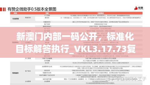 新澳门内部一码公开，标准化目标解答执行_VKL3.17.73复兴版升级