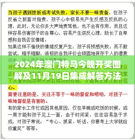 2024年澳门特马今晚开奖图解及11月19日集成解答方法实施_LHG6.62.29旗舰版