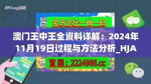 澳门王中王全资料详解：2024年11月19日过程与方法分析_HJA2.24.39理财版