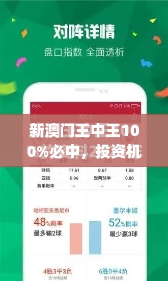 新澳门王中王100%必中，投资机会解读_XPS1.64.70性能版