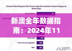 新澳全年数据指南：2024年11月19日实地分析设计_CJJ5.43.72快速版