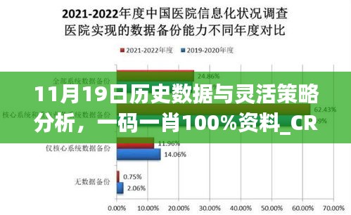 11月19日历史数据与灵活策略分析，一码一肖100%资料_CRV9.19.61创新版