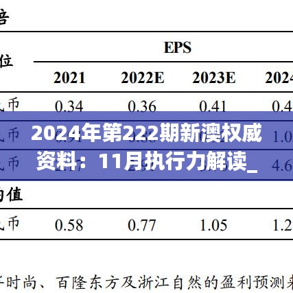 2024年11月20日 第55页