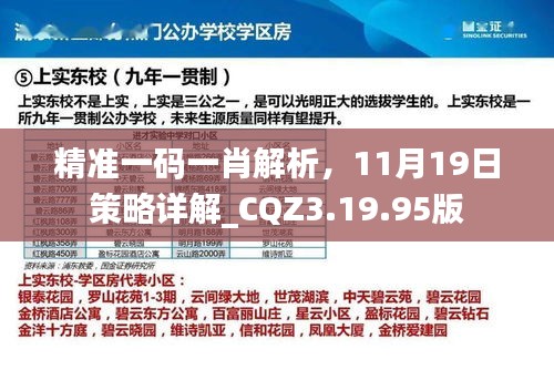 精准一码一肖解析，11月19日策略详解_CQZ3.19.95版