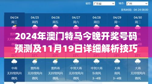 2024年澳门特马今晚开奖号码预测及11月19日详细解析技巧_EIT3.51.55炼髓境