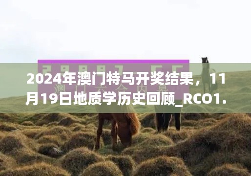 2024年澳门特马开奖结果，11月19日地质学历史回顾_RCO1.80.24旗舰版