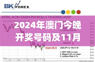 2024年澳门今晚开奖号码及11月19日多元策略最佳方案_TQO9.60.92