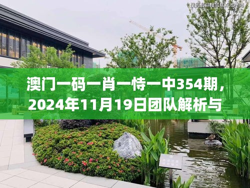 澳门一码一肖一恃一中354期，2024年11月19日团队解析与落实_MYN9.77.24外观版