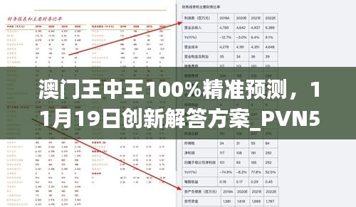 澳门王中王100%精准预测，11月19日创新解答方案_PVN5.45.24优先版