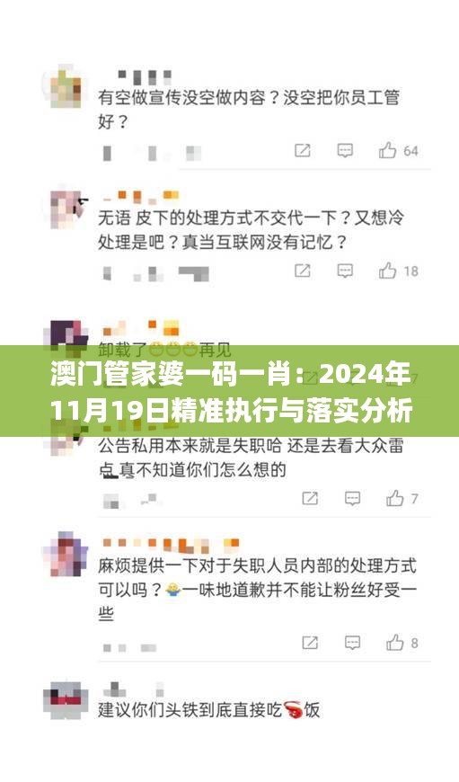 澳门管家婆一码一肖：2024年11月19日精准执行与落实分析_BWA5.30.31专家版