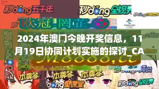 2024年澳门今晚开奖信息，11月19日协同计划实施的探讨_CAV7.12.85精英版