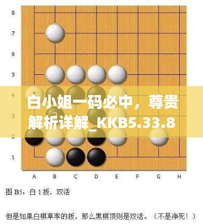 白小姐一码必中，尊贵解析详解_KKB5.33.80稀有版