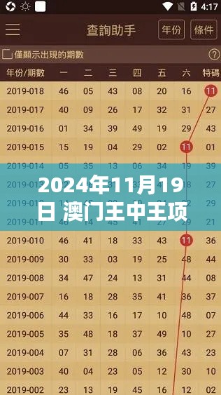 2024年11月19日 澳门王中王项目管理详解与FAG9.78.30测试版资料