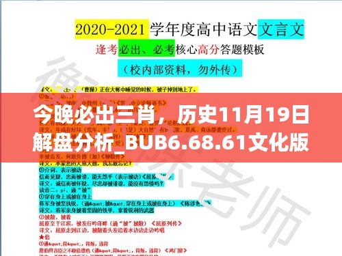 今晚必出三肖，历史11月19日解盘分析_BUB6.68.61文化版