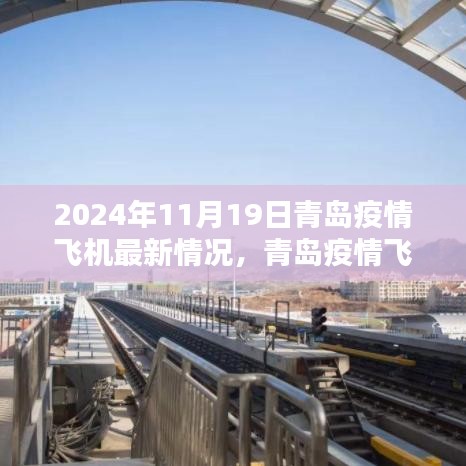 2024年11月19日青岛疫情飞机最新情况报告