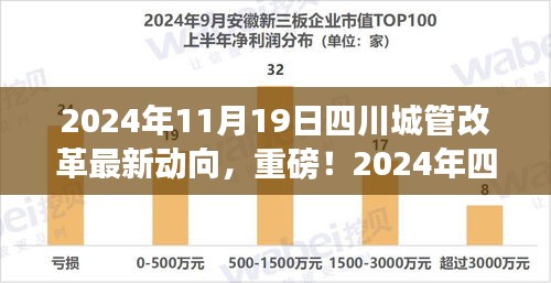 揭秘2024年四川城管改革新动向，未来蓝图展望