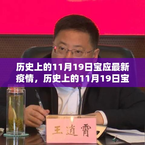 历史上的11月19日宝应疫情深度解析与最新动态