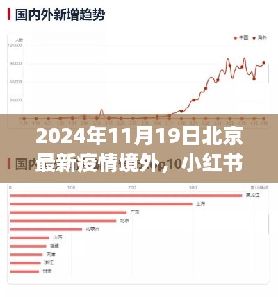 北京境外疫情动态深度解读，聚焦境外疫情状况与小红书分享，2024年11月19日最新更新