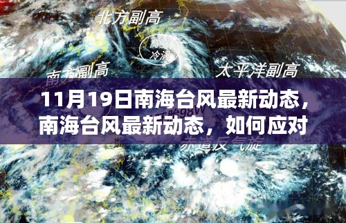 南海台风最新动态及应对指南，初学者与进阶用户必备指南（11月19日更新）