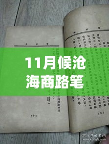 11月候沧海商路笔记，历史脉络、现代回响与最新记录