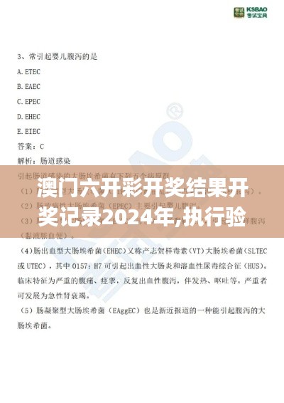 澳门六开彩开奖结果开奖记录2024年,执行验证计划_MTP48.376传承版