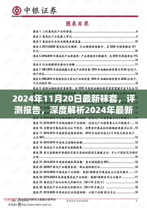 深度评测报告，2024年最新袜套全面解析