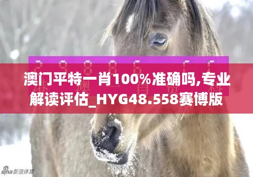 澳门平特一肖100%准确吗,专业解读评估_HYG48.558赛博版