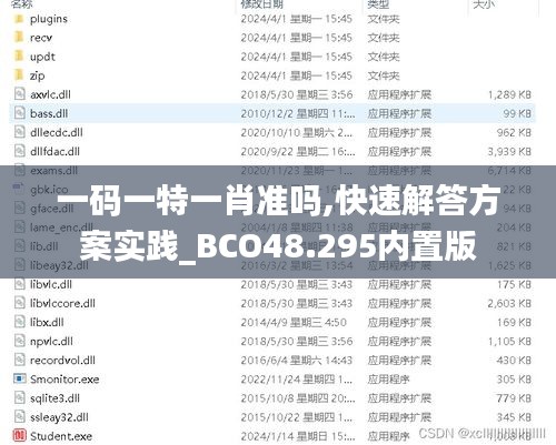 一码一特一肖准吗,快速解答方案实践_BCO48.295内置版