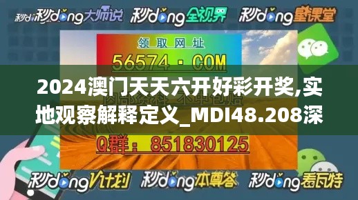 2024年11月21日 第95页