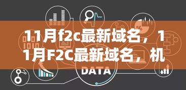 11月F2C最新域名，机遇与挑战的并存