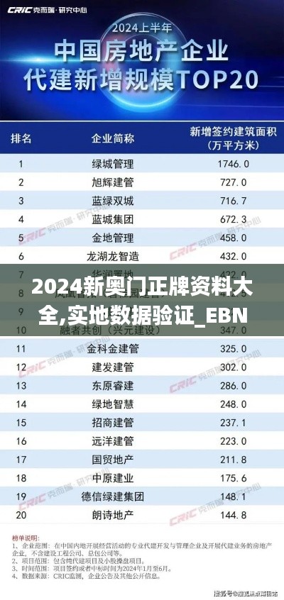 2024新奥门正牌资料大全,实地数据验证_EBN48.902风尚版