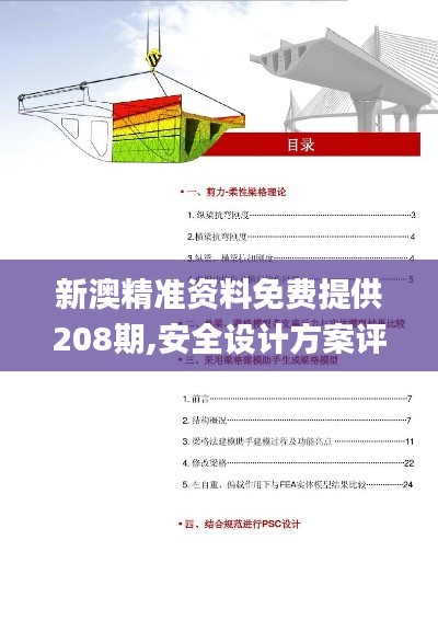 新澳精准资料免费提供208期,安全设计方案评估_PYG48.177户外版