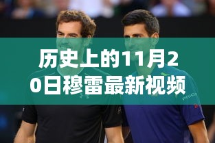 历史上的11月20日穆雷最新视频全解析，特性、体验、竞品对比及用户洞察深度评测