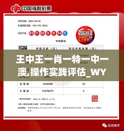 王中王一肖一特一中一澳,操作实践评估_WYG48.159共享版