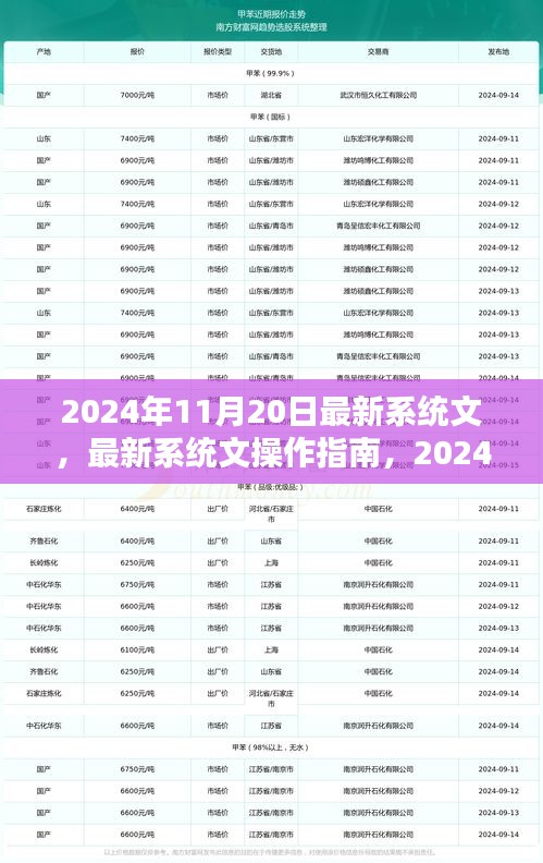 2024年最新版系统操作指南，从初学者到进阶用户的全面教程