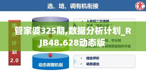 管家婆325期,数据分析计划_RJB48.628动态版