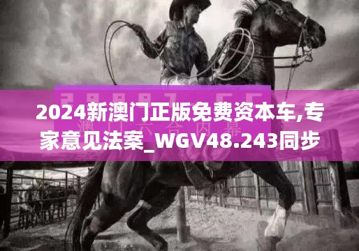 2024新澳门正版免费资本车,专家意见法案_WGV48.243同步版