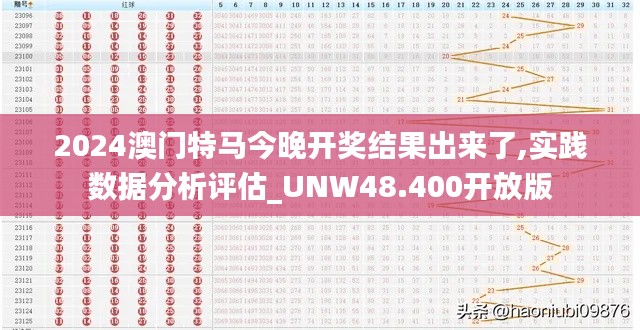 2024澳门特马今晚开奖结果出来了,实践数据分析评估_UNW48.400开放版