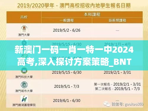 新澳门一码一肖一特一中2024高考,深入探讨方案策略_BNT48.347妹妹版