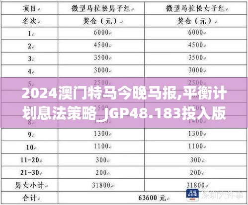 2024澳门特马今晚马报,平衡计划息法策略_JGP48.183投入版