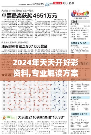 2024年天天开好彩资料,专业解读方案实施_XTO48.577互联版