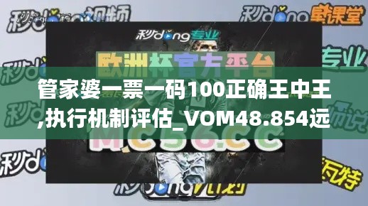 管家婆一票一码100正确王中王,执行机制评估_VOM48.854远程版