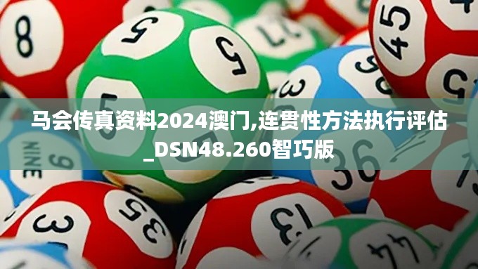 马会传真资料2024澳门,连贯性方法执行评估_DSN48.260智巧版