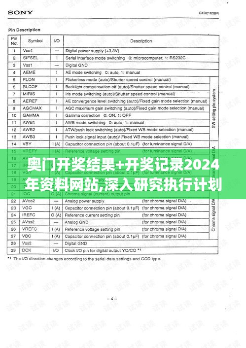 奥门开奖结果+开奖记录2024年资料网站,深入研究执行计划_RXF48.873迅捷版